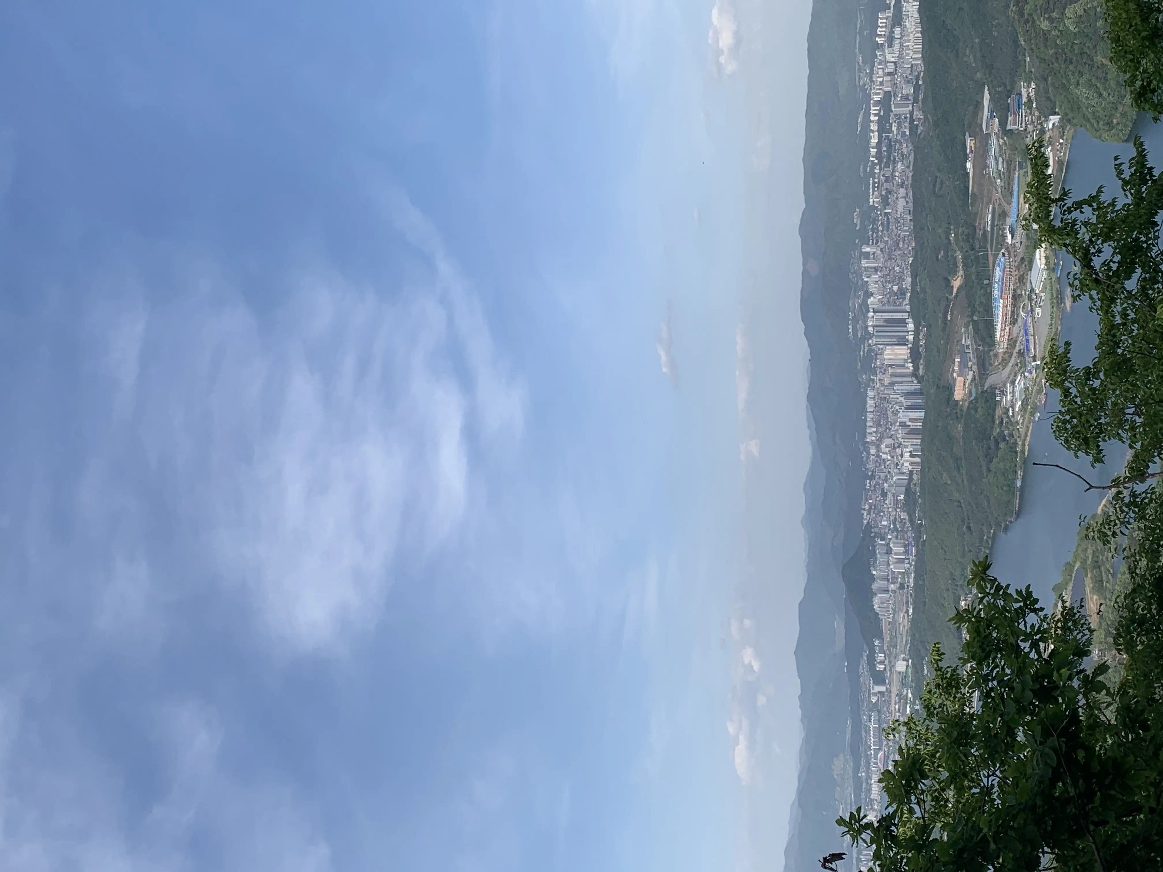 Sub Image 1